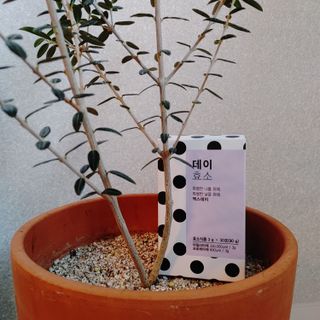 선유맘님이 올린 리뷰 사진 3