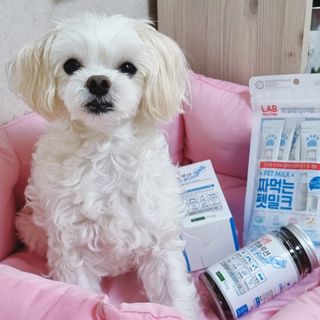 youngran님이 올린 리뷰 사진 1