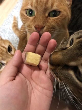 오필리뷰님이 올린 리뷰 사진 4
