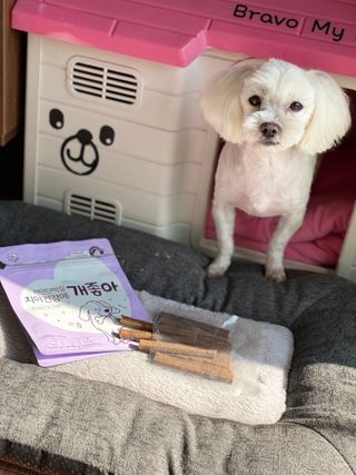 My Pet Care 천연단백질 치아건강에 개좋아 — 5점을 준 리뷰어가 2021년 2월 올린 사용 사진
