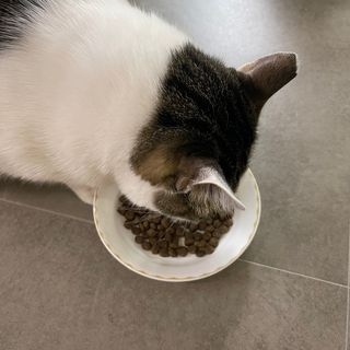 soojinn님이 올린 리뷰 사진 3