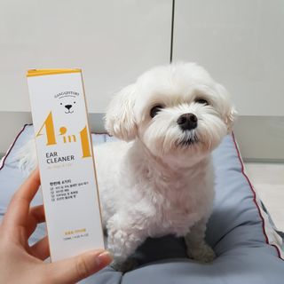 권쁜님이 올린 리뷰 사진 1