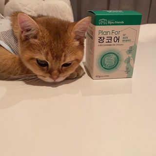 백설님이 올린 리뷰 사진 2