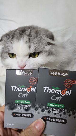 수콩님이 올린 리뷰 사진 2