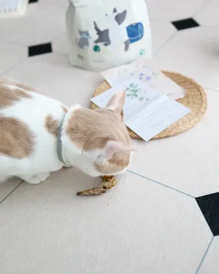 달바라기님이 올린 리뷰 사진 3
