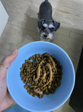 김수연님이 올린 리뷰 사진 1