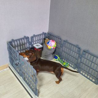 이쁘콩님이 올린 리뷰 사진 3