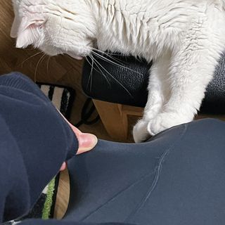 ㄹ진님이 올린 리뷰 사진 2