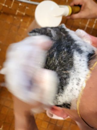 꼬미님이 올린 리뷰 사진 3