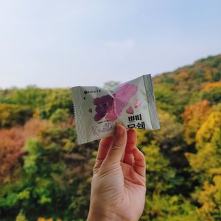 롯데제과 쁘띠몽쉘 마롱몽블랑 — 3점을 준 리뷰어가 2021년 11월 올린 사용 사진