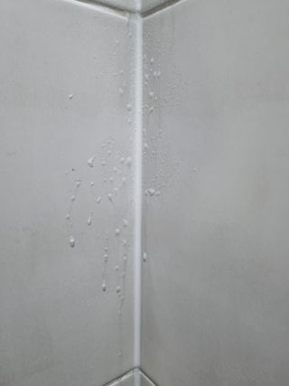 몽스터님이 올린 리뷰 사진 3