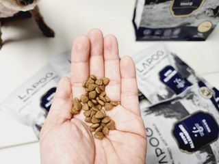 [푸디웜] 라포그 리얼인섹트 소프트키블 스킨 1KG — 5점을 준 리뷰어가 2022년 9월 올린 사용 사진