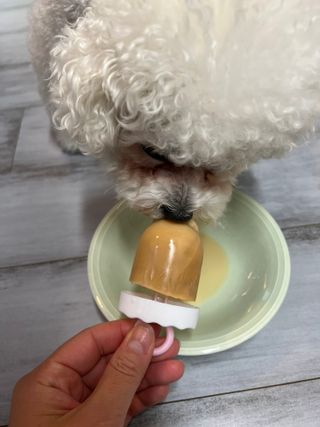 큐티윤님이 올린 리뷰 사진 3