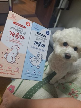 My Pet Care 장건강에 개좋아 — 5점을 준 리뷰어가 2021년 1월 올린 사용 사진
