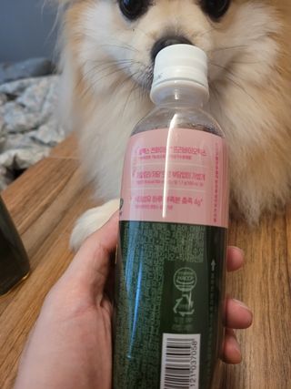 더그레잇티 콤부차 [매일유업] 더그레잇티 44kcal 콤부차 300ml *12개입 (오리지널 6개+베리리치 6개) — 5점을 준 리뷰어가 2023년 7월 올린 사용 사진