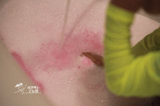 버블데이 배쓰밤 거품입욕제 버블바 6종 — 5점을 준 리뷰어가 2021년 9월 올린 사용 사진