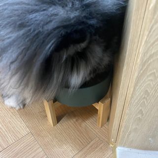 덕구리누나님이 올린 리뷰 사진 3
