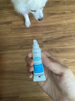 민트초코님이 올린 리뷰 사진 4