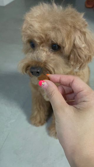 harumom님이 올린 리뷰 사진 2