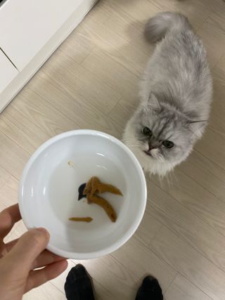 덴비닝님이 올린 리뷰 사진 4