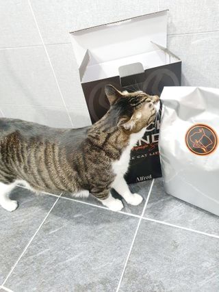 혀으니님이 올린 리뷰 사진 2