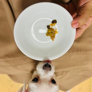 뽀히님이 올린 리뷰 사진 4