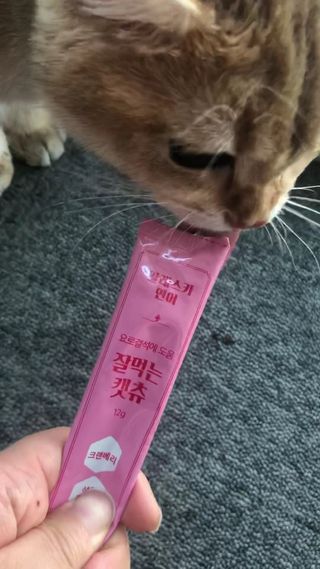 페페로니 잘 먹는 캣츄 - 알래스카 연어 24개입 — 5점을 준 리뷰어가 2021년 7월 올린 사용 사진