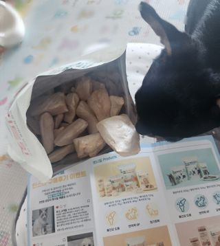 [펫시밀] 원물그대로 영양듬뿍 동결건조 왕북어트릿300g,왕치킨트릿400g,열빙어트릿300g 대용량 간식 — 5점을 준 리뷰어가 2023년 5월 올린 사용 사진