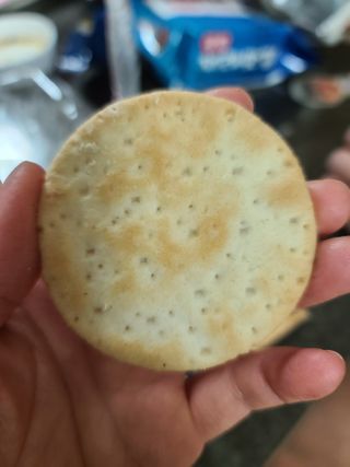 다솜이마마님이 올린 리뷰 사진 2