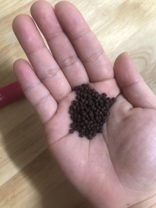 폴린님이 올린 리뷰 사진 4