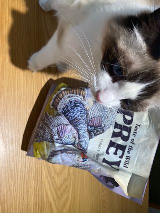 햄님이 올린 리뷰 사진 1