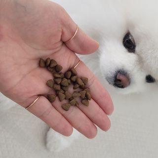 sunny님이 올린 리뷰 사진 1