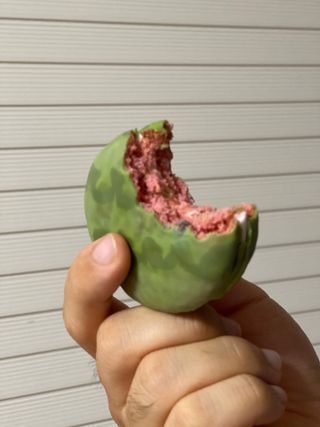 램프의요정님이 올린 리뷰 사진 3