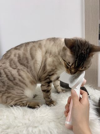 어린이님이 올린 리뷰 사진 2