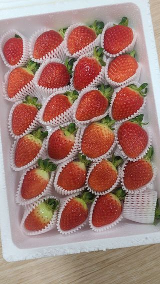옳음 딸기 논산 설향 딸기 900g 산지직송 — 5점을 준 리뷰어가 2021년 1월 올린 사용 사진
