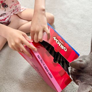 미우미우님이 올린 리뷰 사진 2