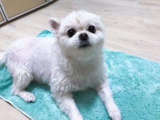 라움님이 올린 리뷰 사진 4