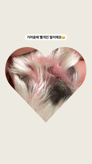 𝒄𝒉𝒂𝒓𝒎𝒊𝒏𝒈님이 올린 리뷰 사진 3
