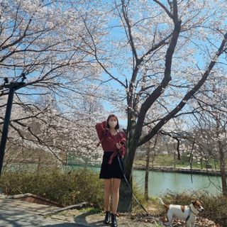 애니가드 셋업메베마스크 (대형 4컬러 + 중형 4컬러) — 5점을 준 리뷰어가 2022년 4월 올린 사용 사진