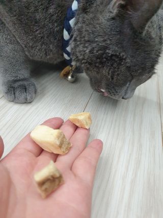 유영경님이 올린 리뷰 사진 3