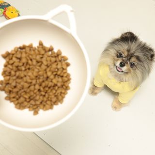 오코리타님이 올린 리뷰 사진 3
