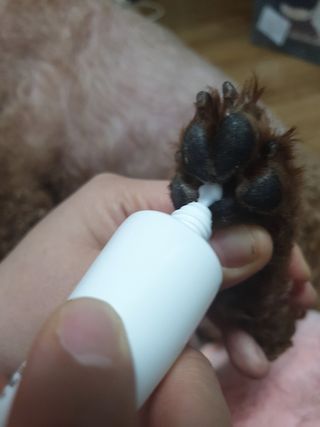 우주형제맘님이 올린 리뷰 사진 4