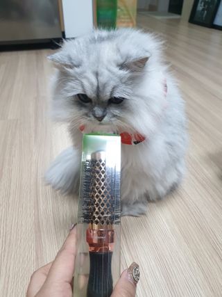 김다은님이 올린 리뷰 사진 3