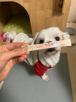 My Pet Care 모발과 모질 피부건강에 개좋아 — 4.5점을 준 리뷰어가 2020년 12월 올린 사용 사진