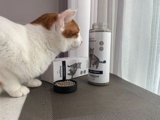 몬드모랑님이 올린 리뷰 사진 3