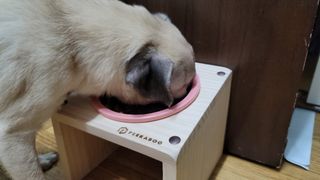 상상씨님이 올린 리뷰 사진 1