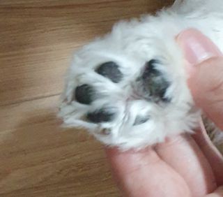 내장산속리산님이 올린 리뷰 사진 4