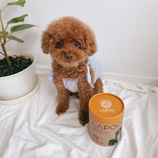 조이님이 올린 리뷰 사진 2