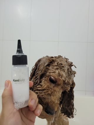 sssee님이 올린 리뷰 사진 4