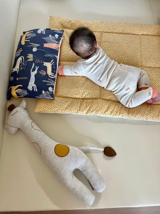 파르페 사파리 낮잠이불토퍼가방세트-네이비,엘로우 2컬러/데이지 낮잠이불토퍼가방세트 3종 중 택1 — 5점을 준 리뷰어가 2022년 1월 올린 사용 사진